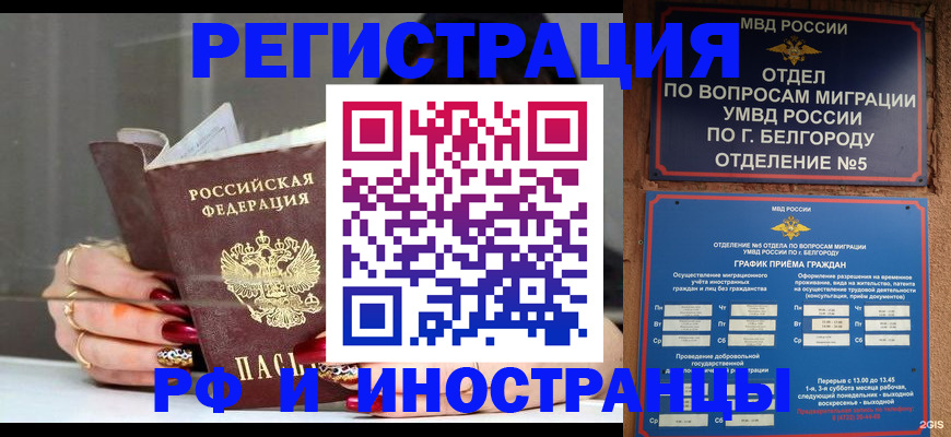 прописка в Белово